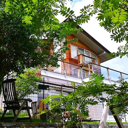 Ferienwohnung Hoellwart - Exclusiv, Ruhige Lage, Panoramablick Bischofshofen Exterior photo